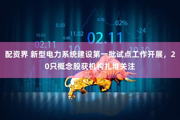 配资界 新型电力系统建设第一批试点工作开展，20只概念股获机构扎堆关注
