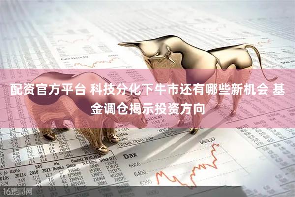 配资官方平台 科技分化下牛市还有哪些新机会 基金调仓揭示投资方向