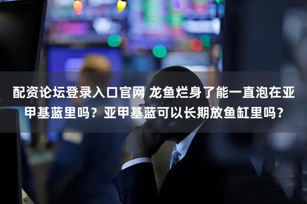 配资论坛登录入口官网 龙鱼烂身了能一直泡在亚甲基蓝里吗？亚甲基蓝可以长期放鱼缸里吗？